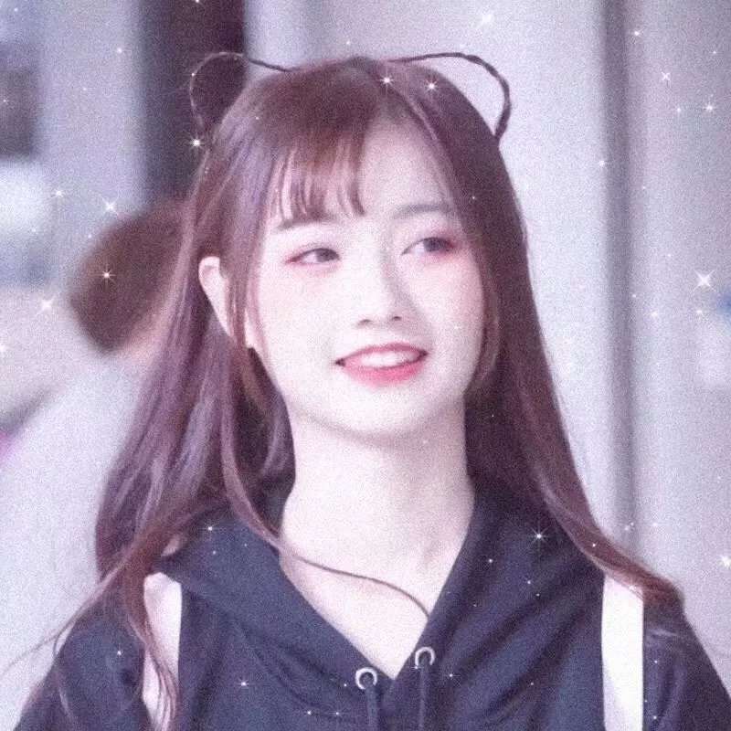 龙牌之谜